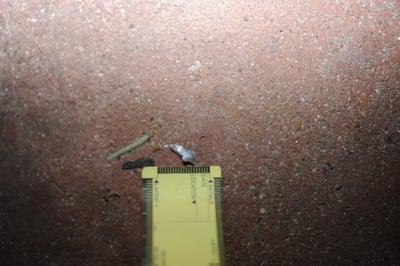 2011 Tucson Shooting Evidence Collected - Photograph 254
