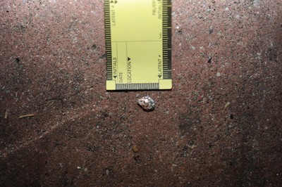 2011 Tucson Shooting Evidence Collected - Photograph 257