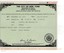 Fraudulent Birth Certificate of Cynthia Ann Hopkins - Fraudulent New York birth certificate of Cynthia Ann Hopkins