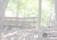 Video 10 (Final)